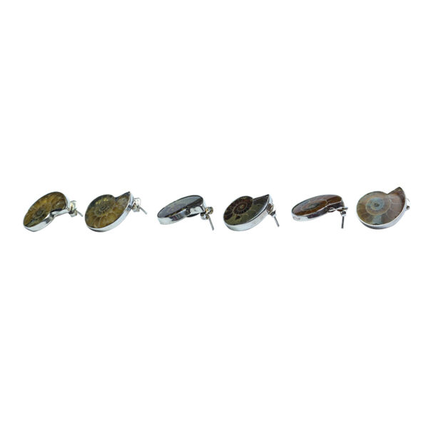 ARETE BROQUEL AMONITA NATURAL CHICA - Image 2
