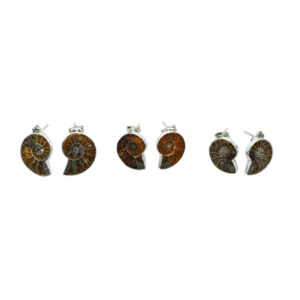ARETE BROQUEL AMONITA NATURAL CHICA